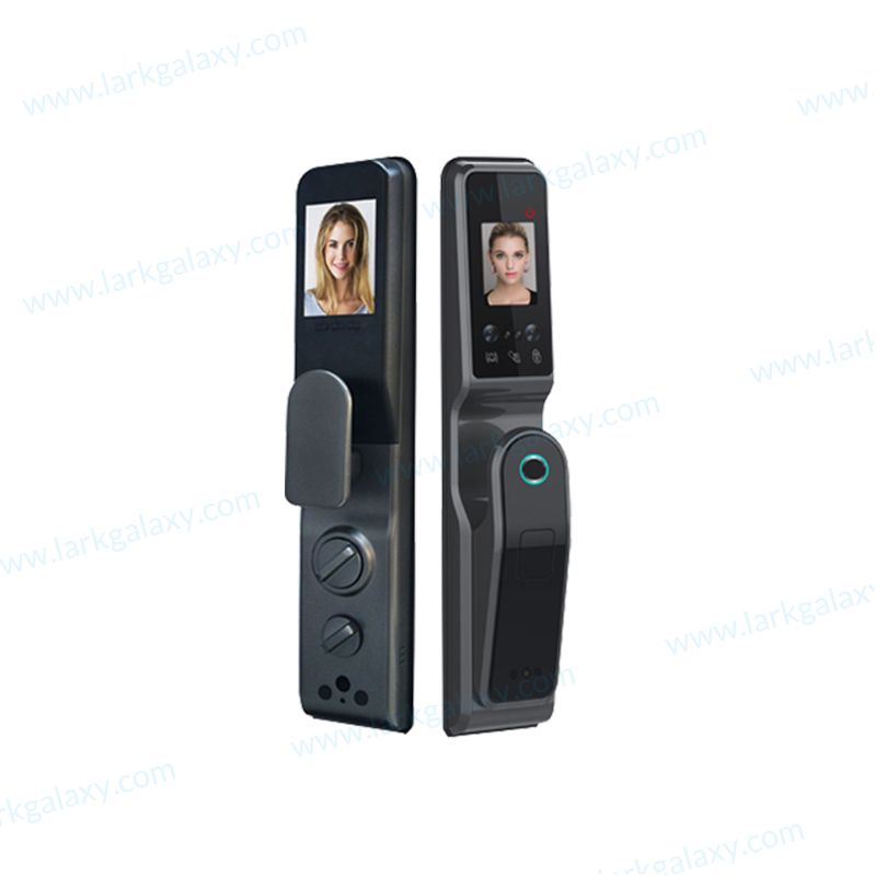 R10P 3D Face Recognition Fingerprint Intelligent Door Lock